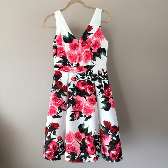 Liza Luxe Modcloth Garden Party Dress Sleeveless Fit Flare V Neck Women’s Sz M - Picture 5 of 11